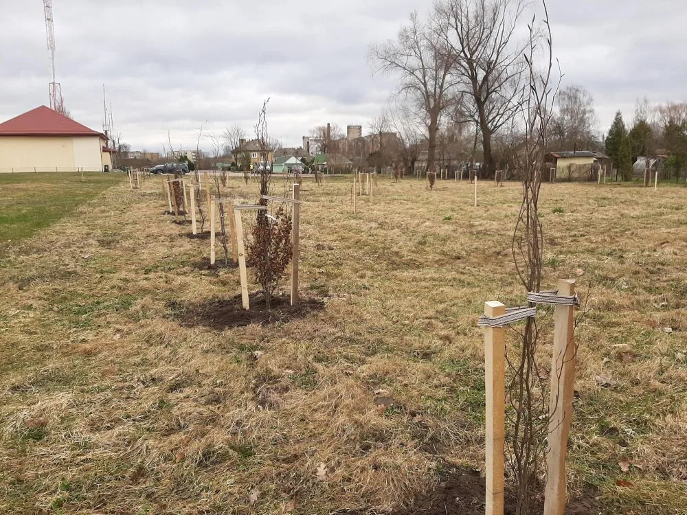 „LTG Infra“ šalia geležinkelio kuria žaliąsias zonas