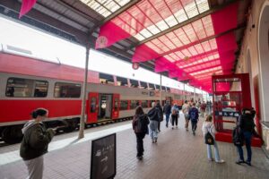 Galerijos nuotrauka 5