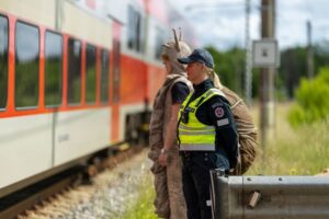 Galerijos nuotrauka 3